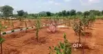గజం భూమి కేవలం 1000 రూపాయల
