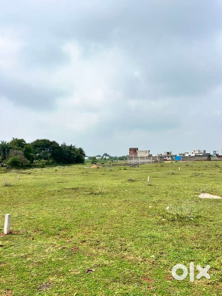 Kurud की शानदार लोकेशन में Diverted Plot बिक्री के लिए