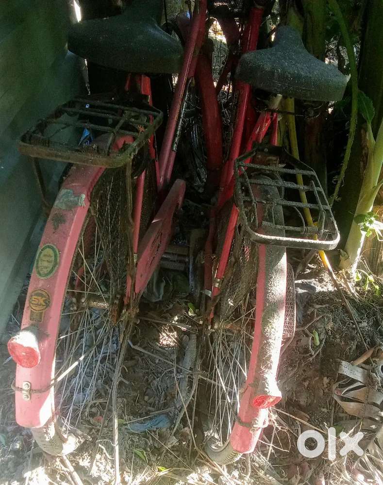 1 use ladies cycle