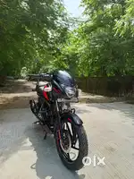 Pulsar 2024 For Sale