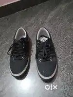 Allen Cooper Safety Shoes  & Sparx Sneakers – Like New, Worn Once