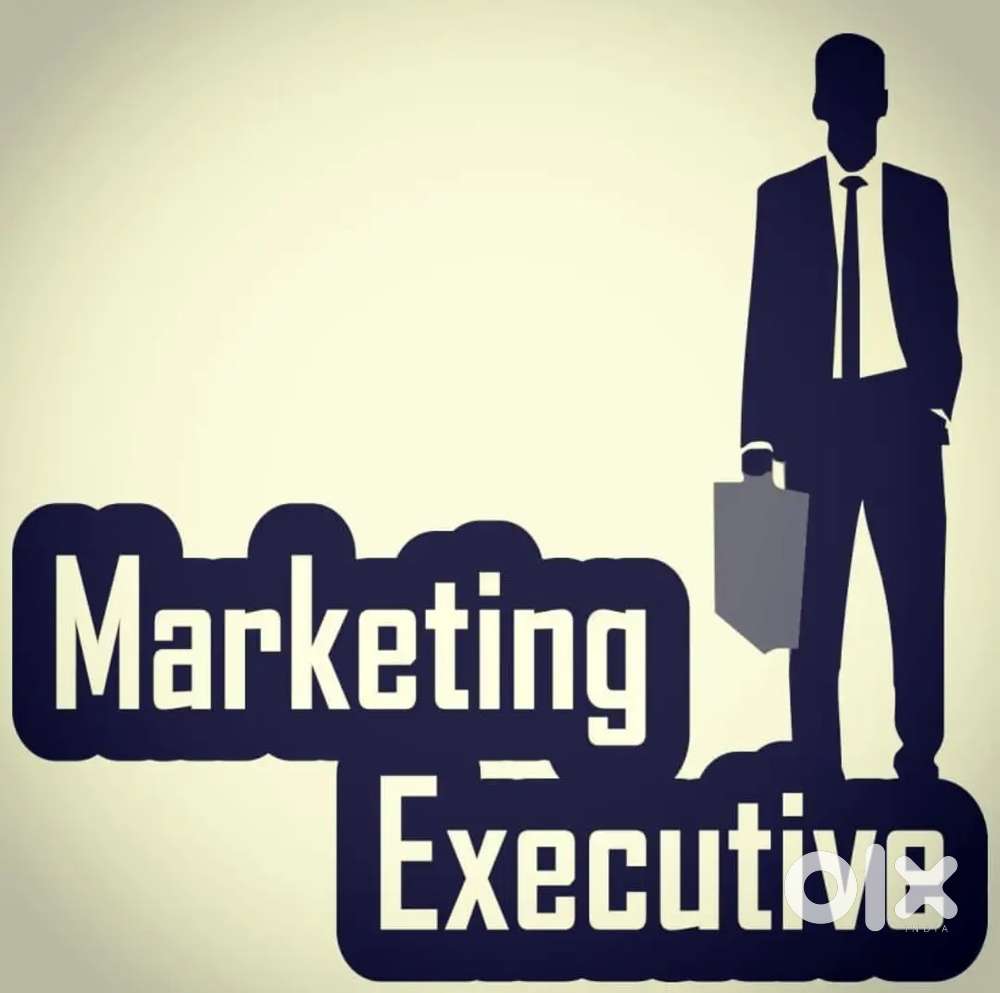 Sales and marketing excutive(M/F)