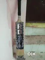 Kashmir willow bat New