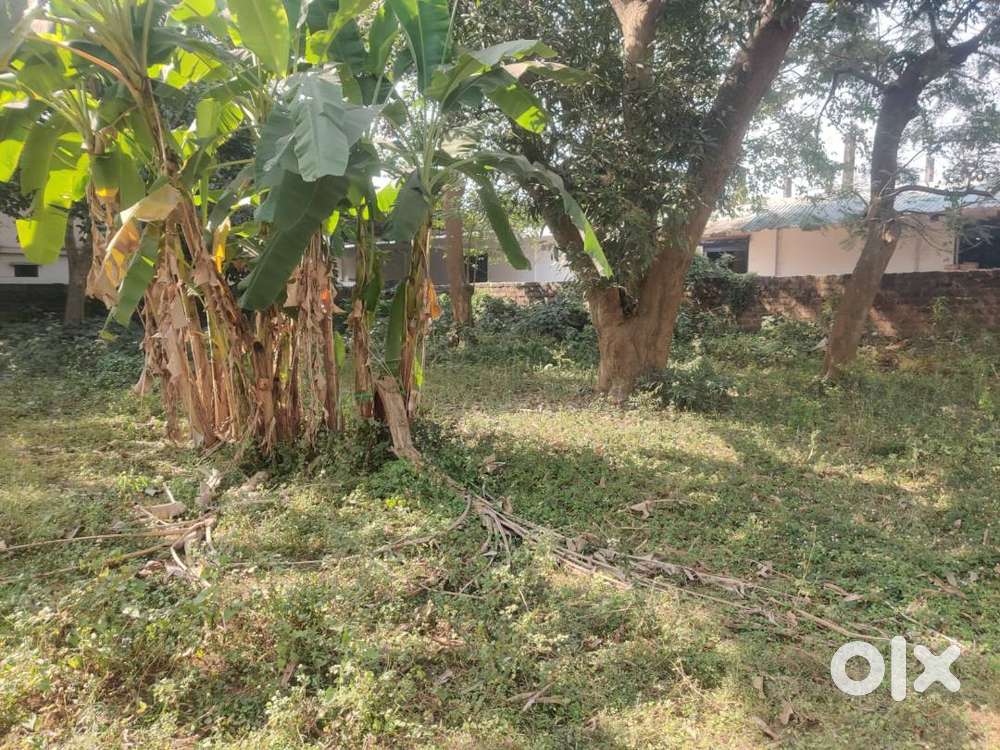 19,602 Sq Ft Commercial & Residential Plot for Sale