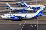 Bulk hiring for airport ground force on your nearest airports
