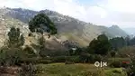 Plot sale kodikanal