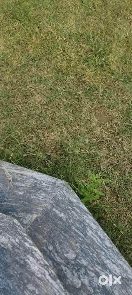 Ajit 115 gaj plot sale.