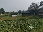 Land sale beside NH12/34