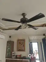 Celling Fan