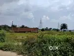 Cnt free land