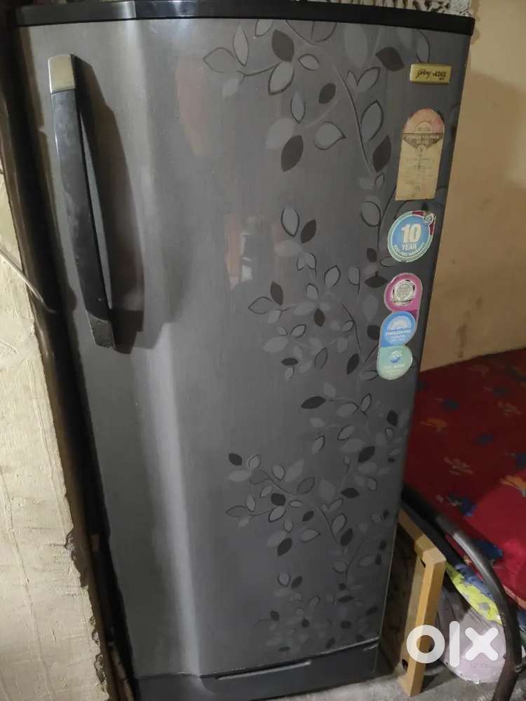 Goodreg edege fridge