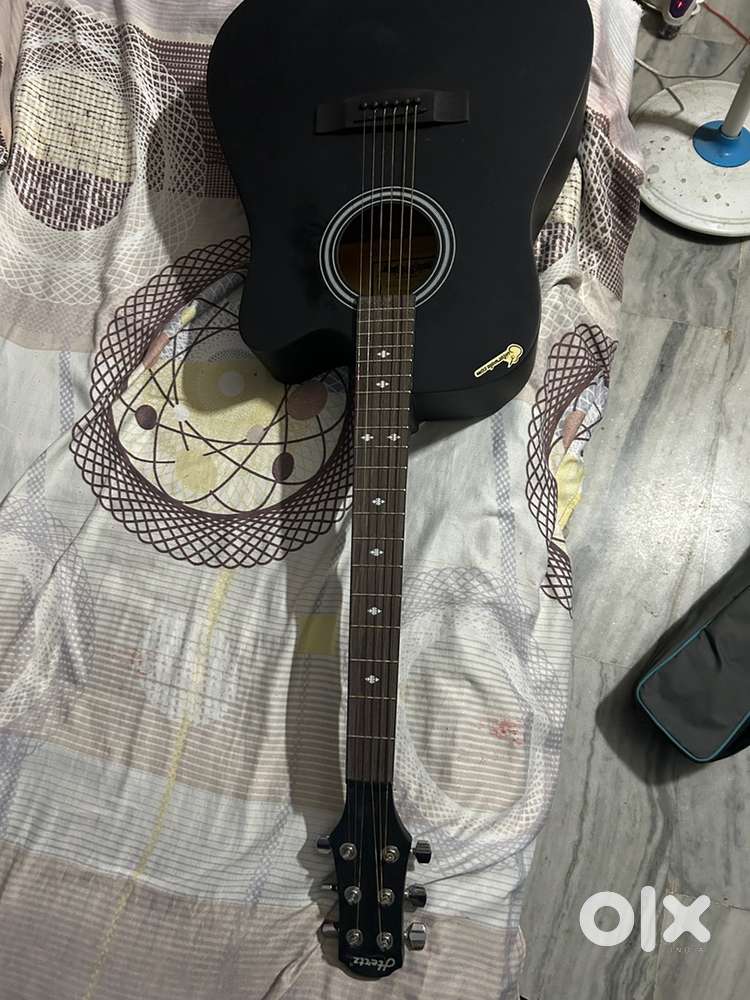 Hertz acoustic guitar