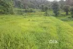 45 gunthe plot sell in Sangmeshwar