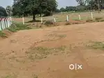 Clear title,Verified with Old record,20 Guntas agriculture land sale