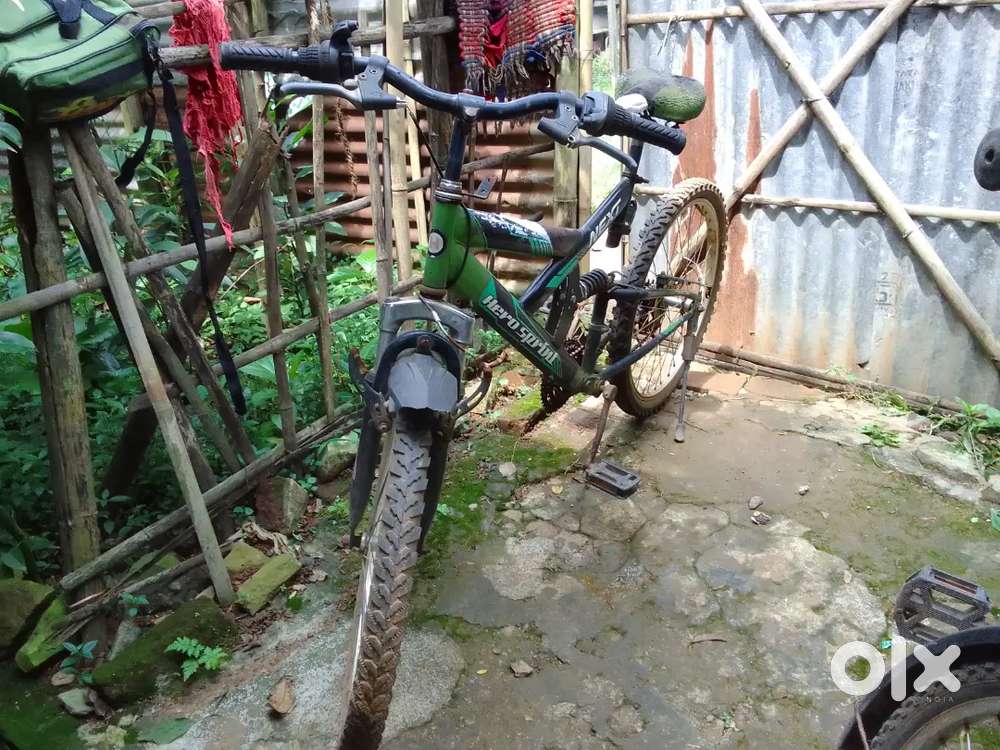cycle only at 1500