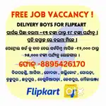 Delivery Boy job