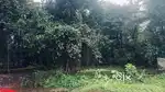 Commercial plot for sale