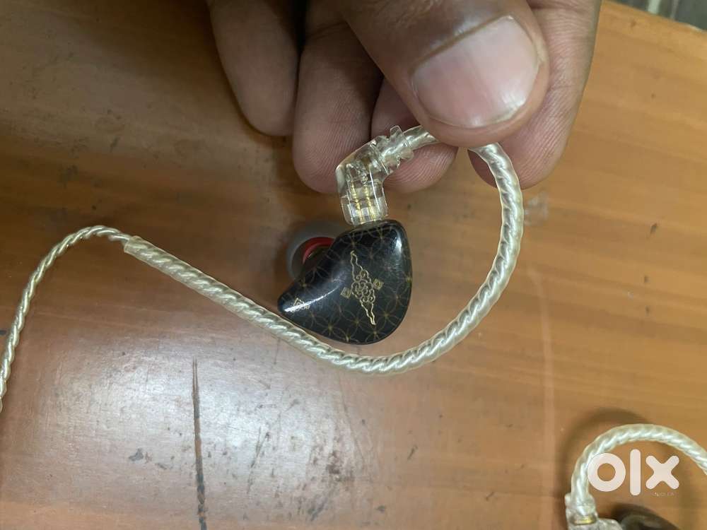 Tangzu Waner SG in ear monitors with extra eartips and carry pouch