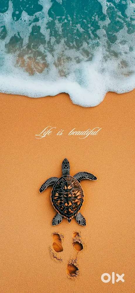 Need delivery partner