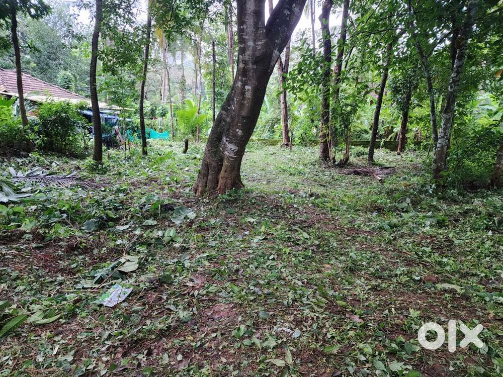 9 cent Plot for sale