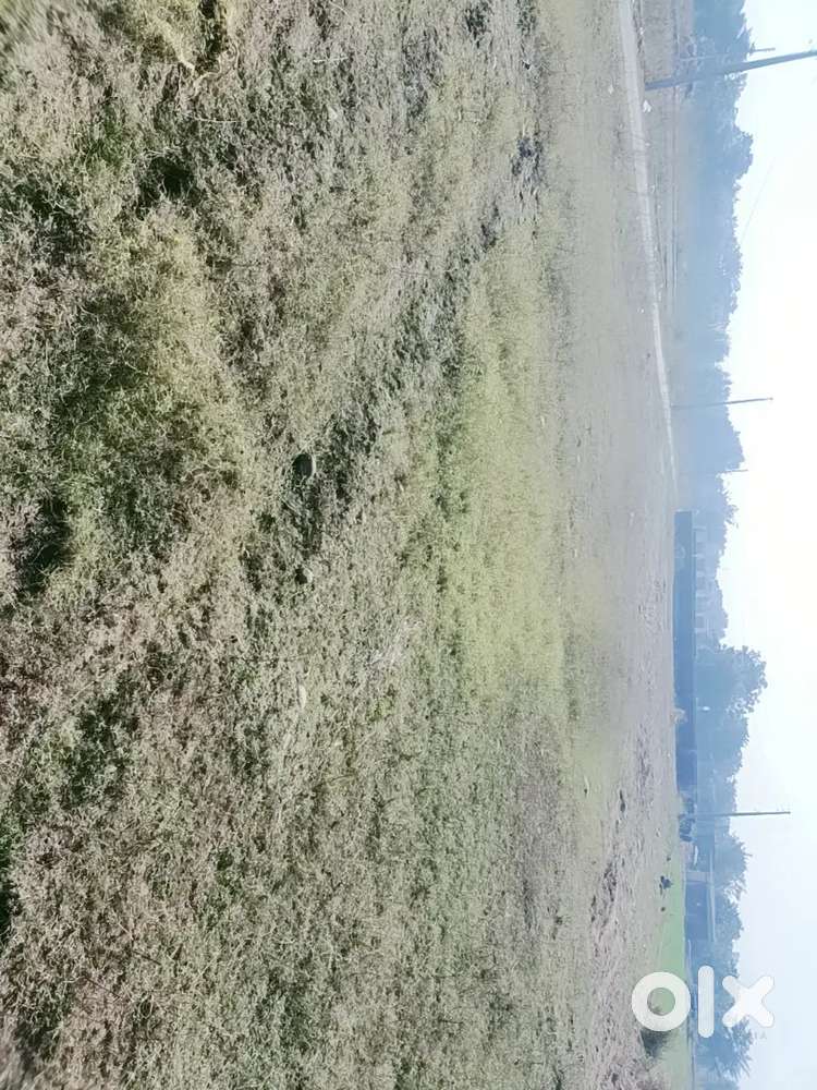 Plots for sale machine domana road 20 ft with black top