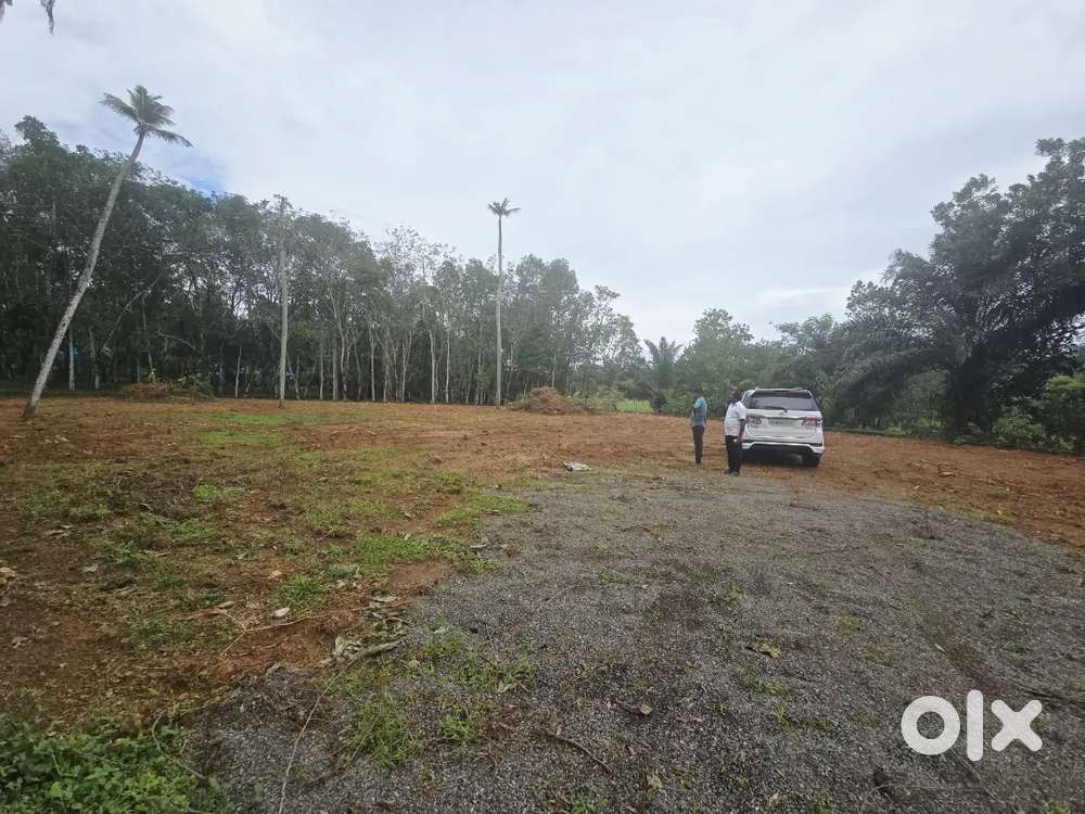58 cent Paddy View land for sale in Kuruppunthara