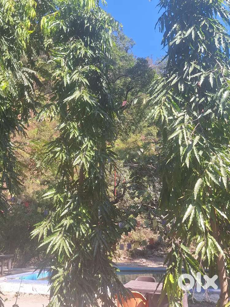 Resort  staaf house keeping  ut