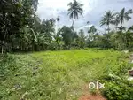 അങ്കമാലിയിൽ 20 സെന്റ്  സ്ഥലം വില്പനക്ക്