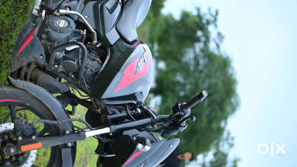 Pulser red black 2023 model new condition