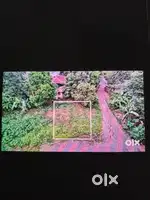 Plot for sale( 3 &4cent) near thevakkal kuzhivelippady