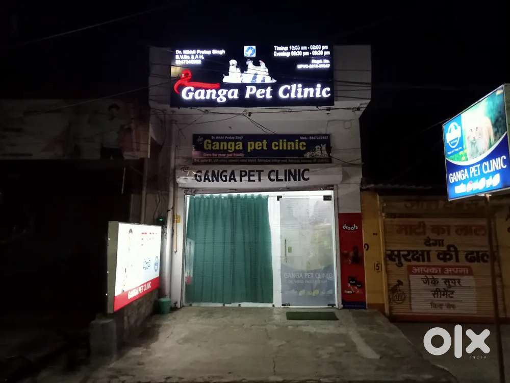 Assistant to vet doctor (para-vet)