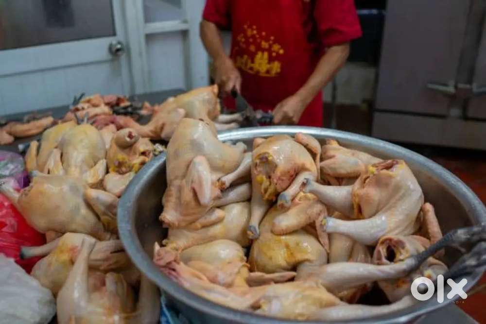 Chicken shop me Kaam karne k liye ladke chahiye.