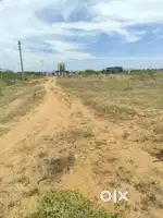 Rettiyarpatti VSP nagar plot 4 nos for sale