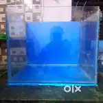 1.5 FEET FISH AQUARIUM 650 FIX PRICE