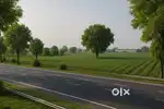 3 Bigha Farm/ Agricultural land available for longterm lease