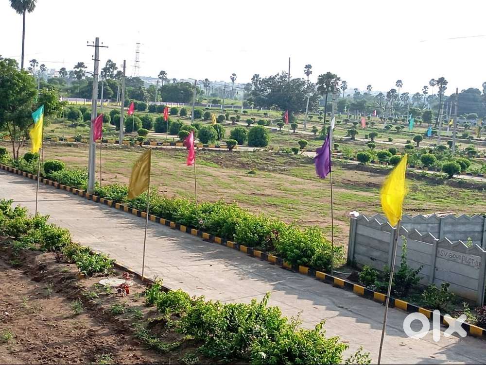 Get an Open plot @ 33 lacs in Families staying venture