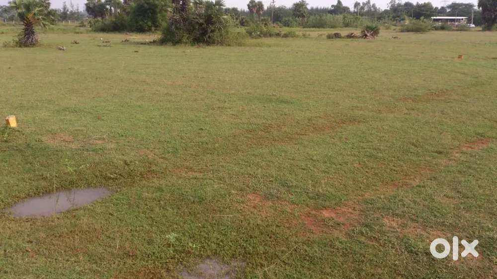 DTCP Approved Plot at Vinayagar Nagar, Orathur for sale