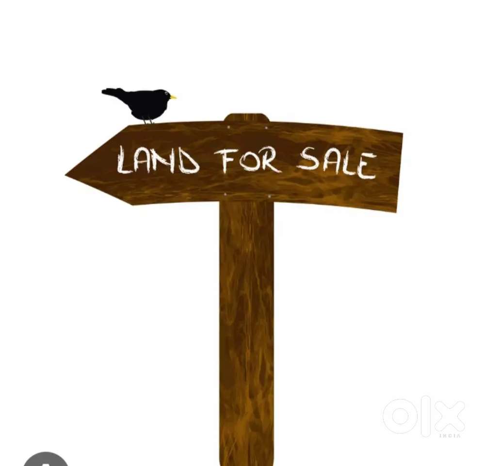45 bigha onroad land for sall ₹40lakh bigha (lawar, masuri road)