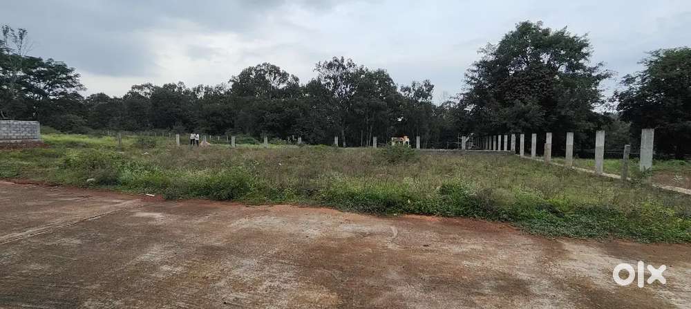 Scenic Yelagiri Site for Sale – 21 Cents Near Main Road