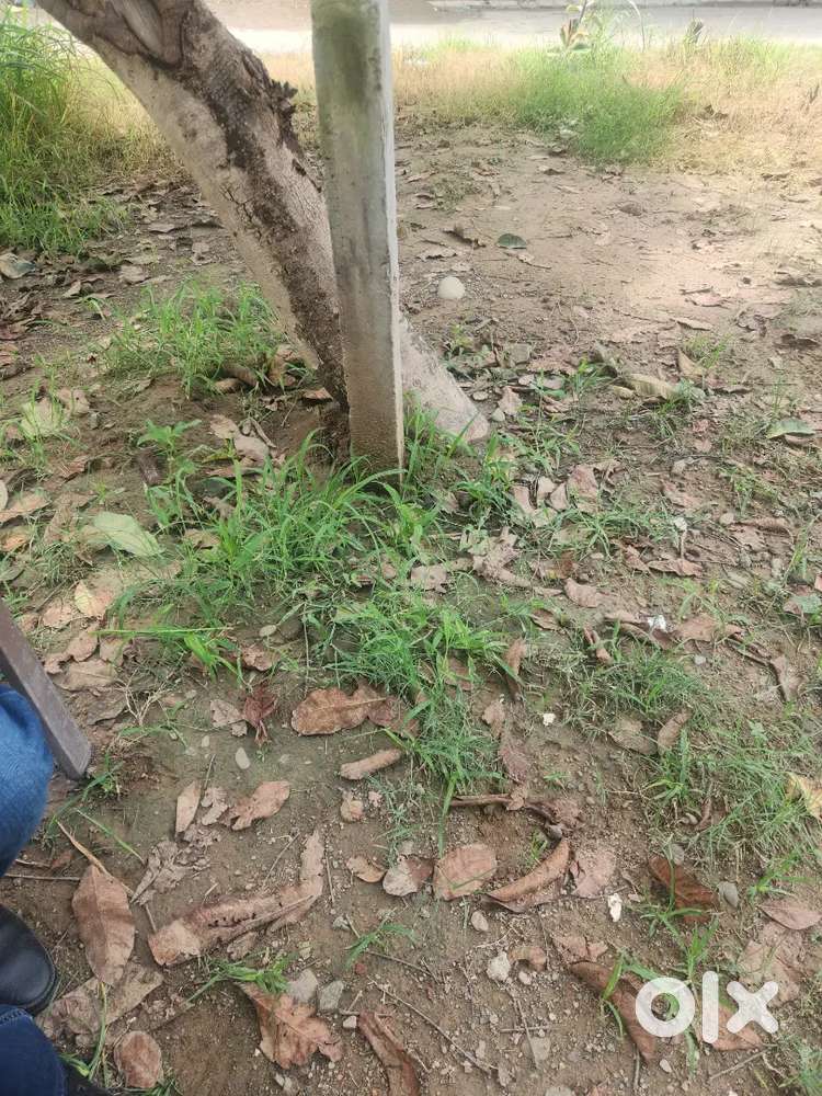 234 Gj plot for sale in altus phase 1 new chandigarh