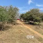 Residential plot for sale in Raigir near Unity College of Pharmacy