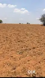 3 acres agriculture land for near pamidi sorakayla peta