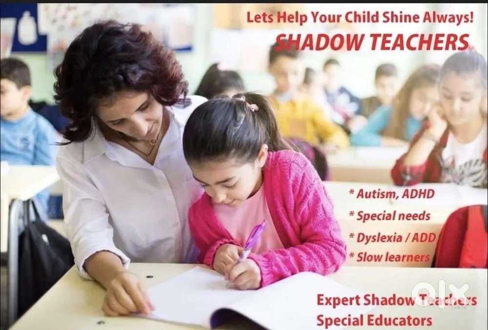 I need a job any shadow teacher requirements let me know