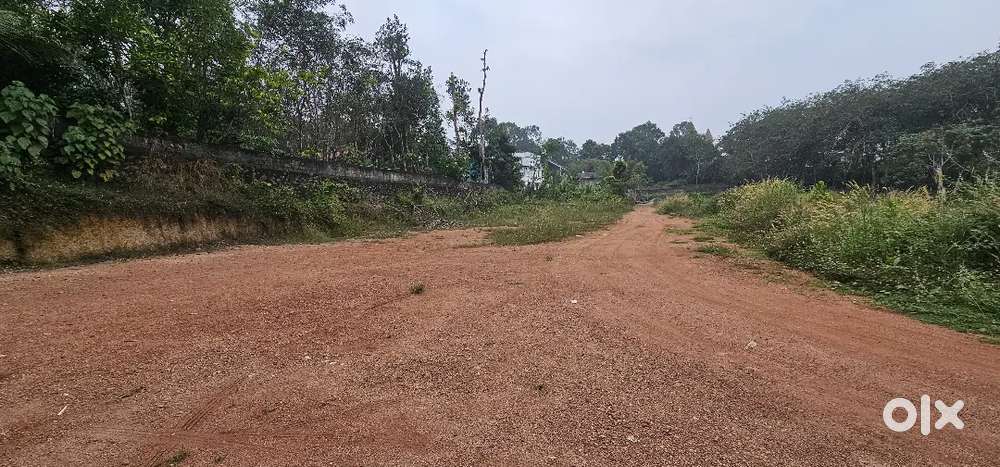 House plot for sale chanjody changanacherry