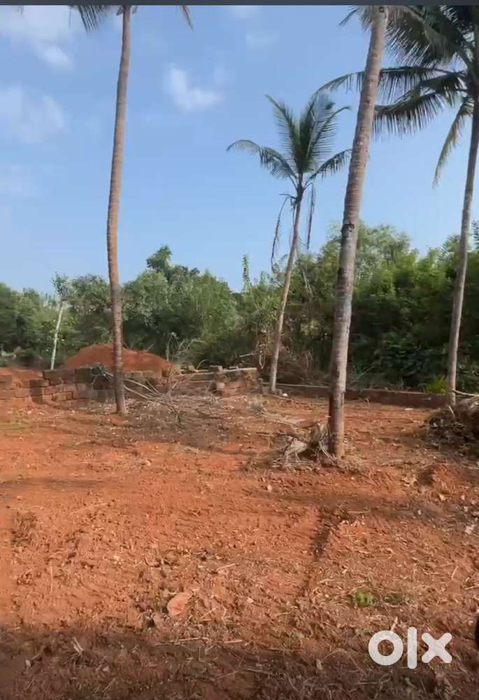 Housing plot sale in pilathara