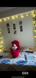 Need a female partner