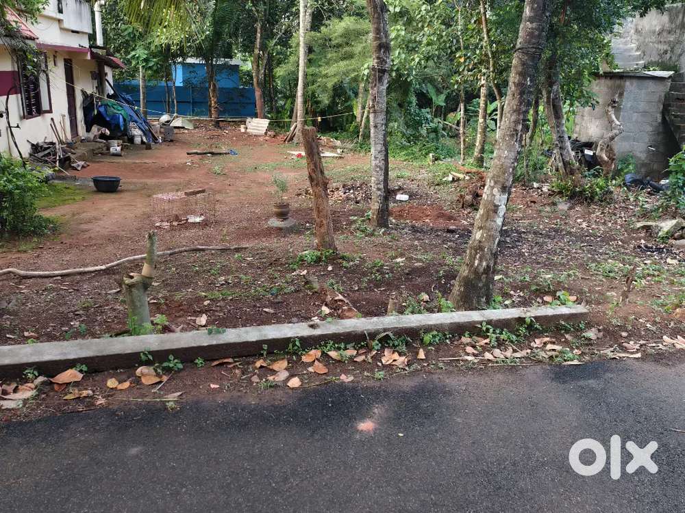 6 cents Plot For Sale