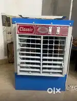 Cooler one year old
