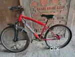 Bicycle with affordable rate