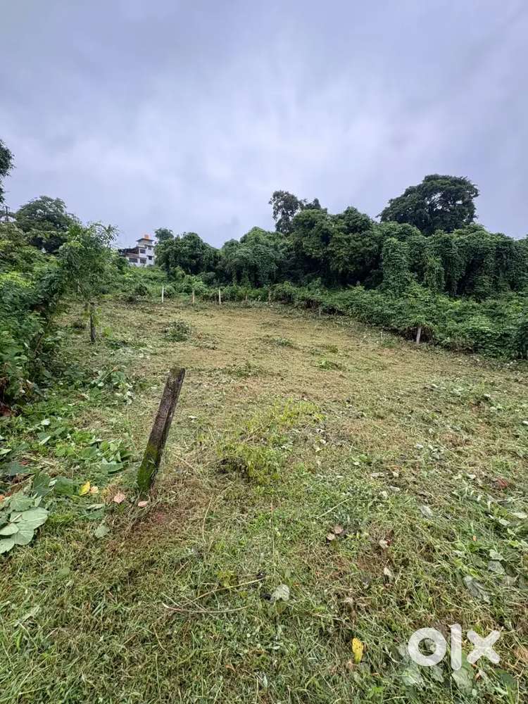 Plot for sale in old Goa